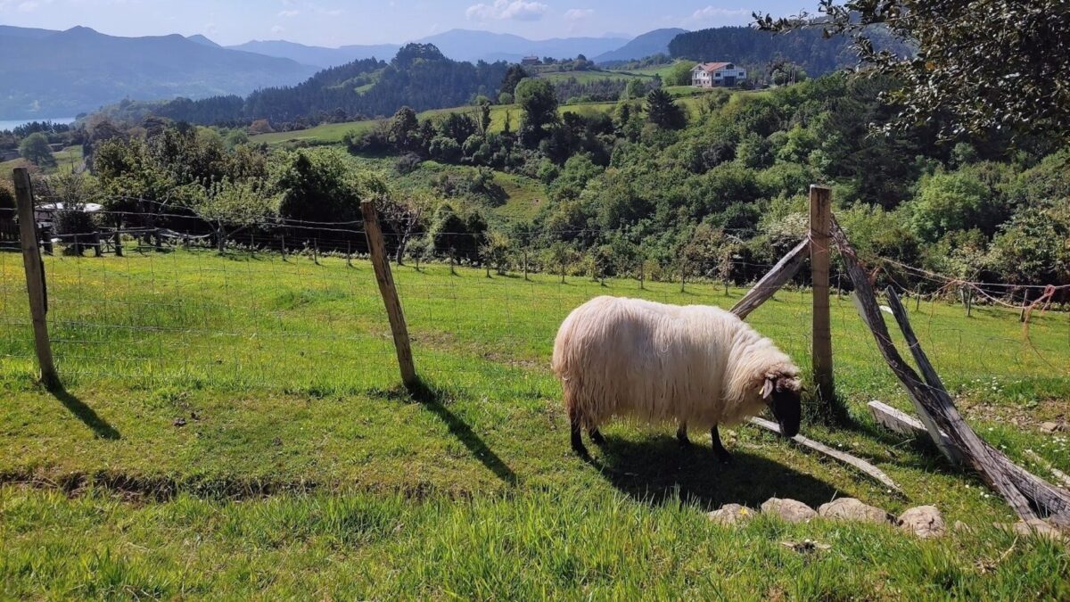 El Gobierno convoca 84,8 millones en ayudas para zonas rurales sin Internet de alta velocidad