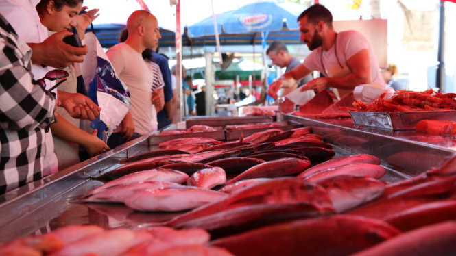 El CSIC publica los pescados más sanos (libres de mercurio)