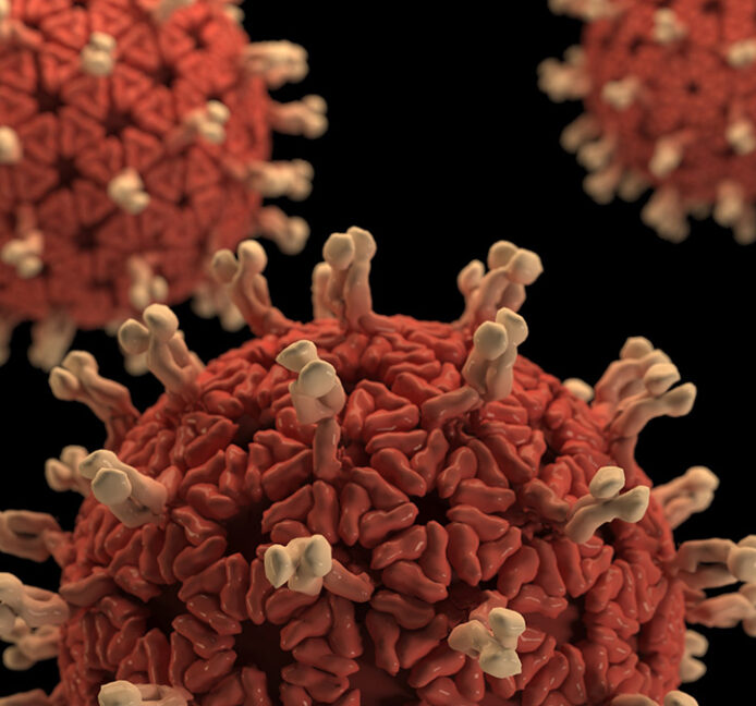 ¿Podemos predecir la evolución de los virus?