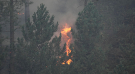Detenido un hombre como presunto autor de 19 incendios en Cáceres que arrasaron 1.100 hectáreas