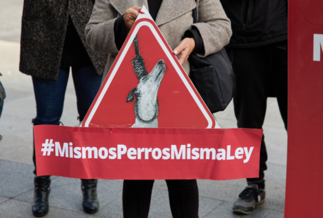 PP y PNV respaldan al PSOE para excluir a los perros de caza de la 'ley animal'