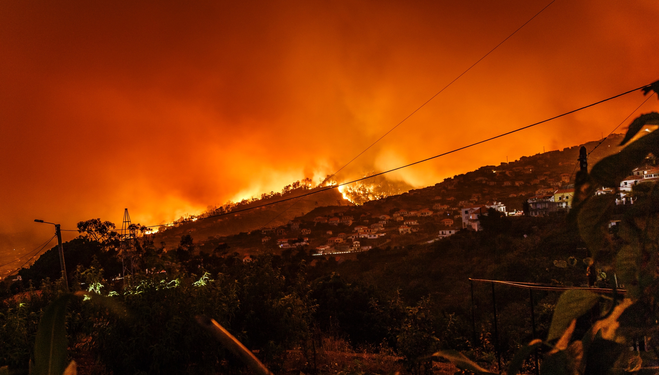 El 50% de la superficie quemada en la última ola de incendios en Europa está protegida