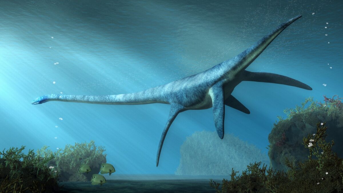 Hallado un esqueleto de dinosaurio marino extinto en Australia