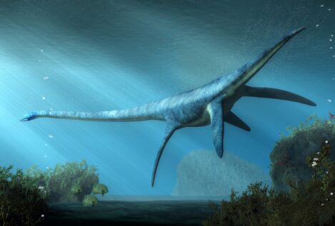 Hallado un esqueleto de dinosaurio marino extinto en Australia