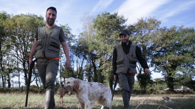 El PSOE cede ante Podemos y considerará a los perros de caza animales de compañía