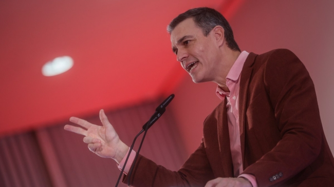 El PSOE contraataca con dos nuevos recursos para que el Constitucional no frene su reforma