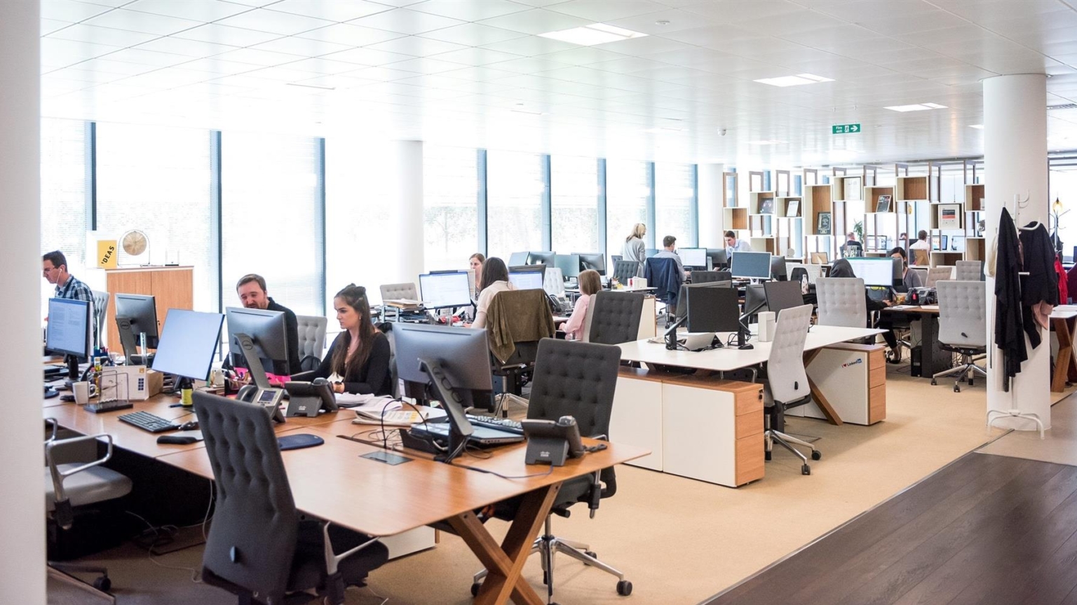 El espacio de trabajo: la transformación de las oficinas para un futuro sostenible