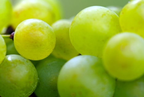 Estas son las mejores alternativas a las uvas en Nochevieja: para niños y adultos