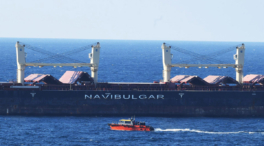 Un barco de carga con grano ucraniano encalla en el estrecho del Bósforo