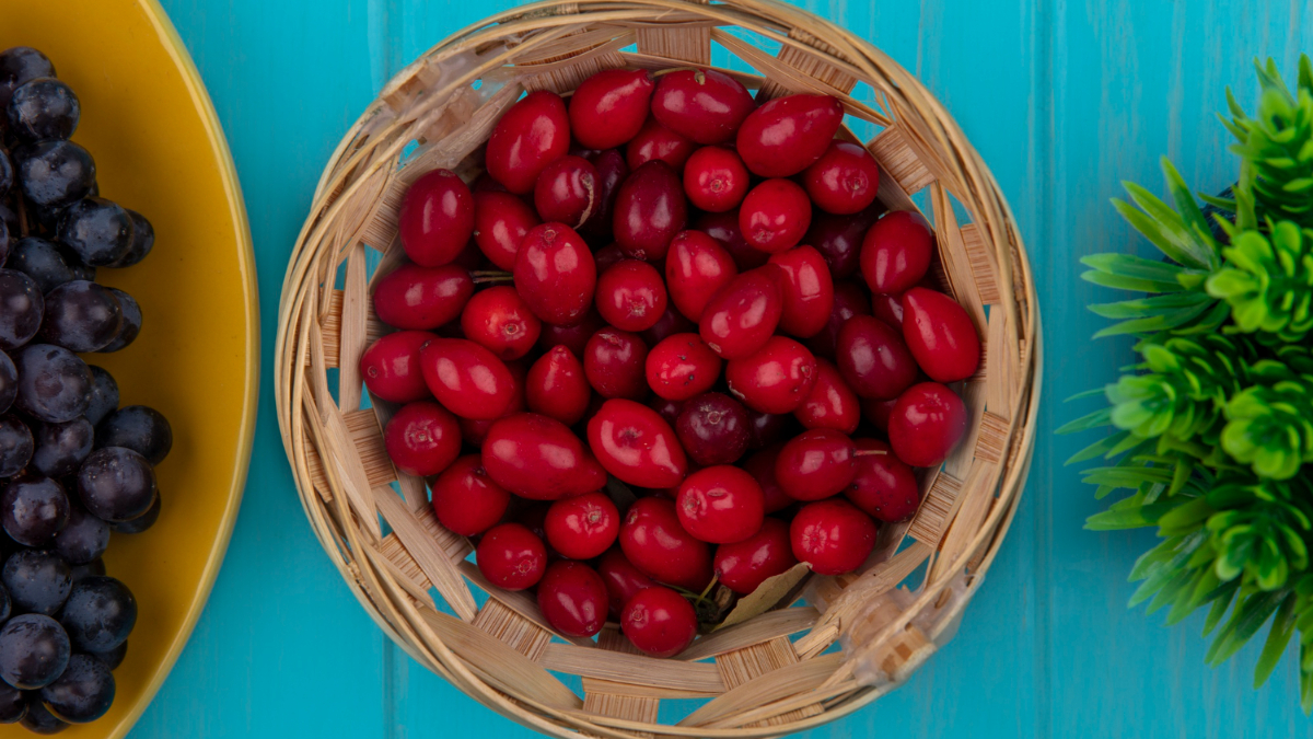 Bayas de guaraná frescas, ricas en guaranina (cafeína)