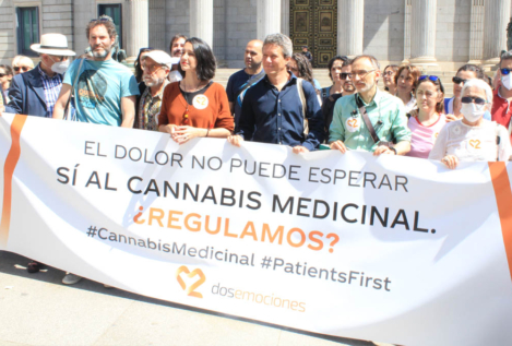 Sanidad retrasa legalizar el cannabis medicinal mientras autoriza su cultivo a 21 empresas