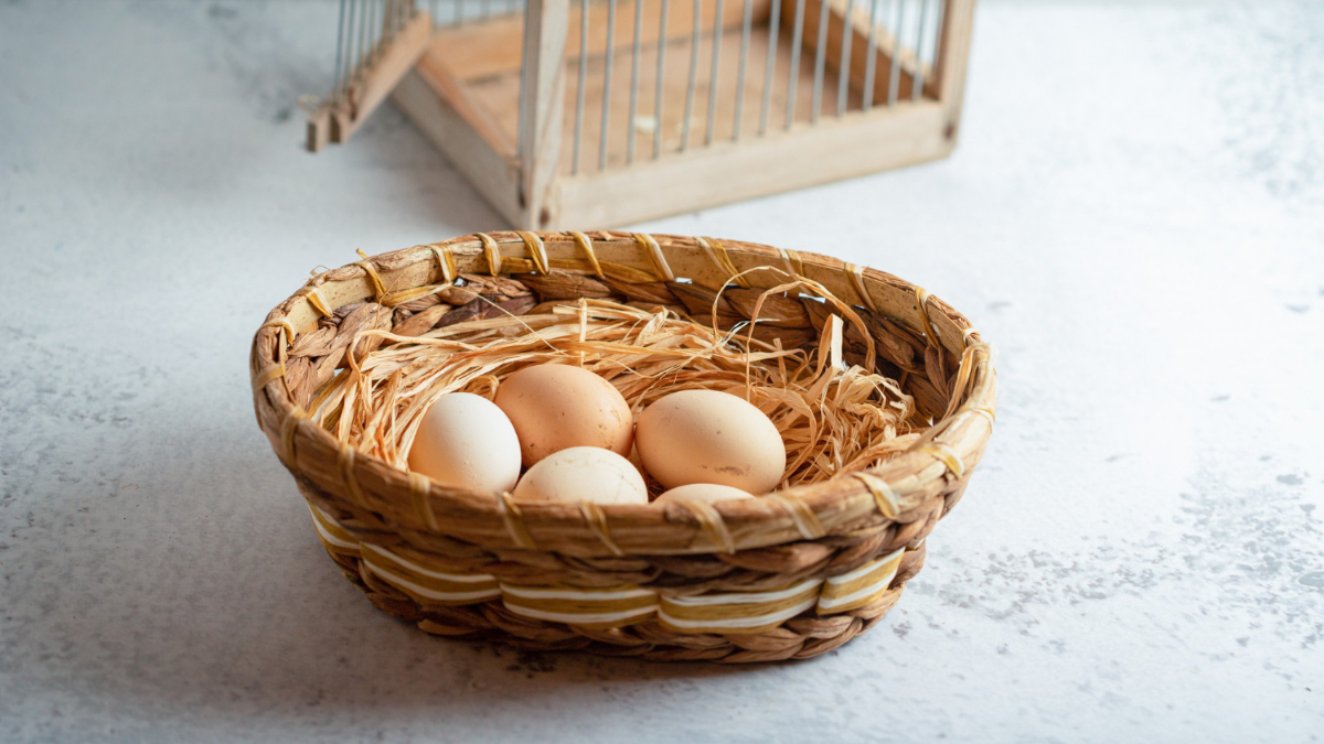 Cesta con huevos morenos