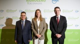 Arturo Gonzalo (Enagás): «El hidrógeno debe ser la gran red de política público privada»