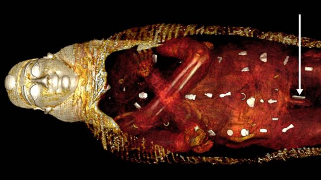 'El niño de oro': redescubren en Egipto una momia olvidada durante 100 años con amuletos