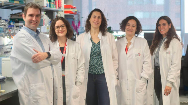 Un equipo de científicos halla una proteína que protege contra la enfermedad cardiovascular