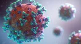 ¿Es el coronavirus un ser vivo?