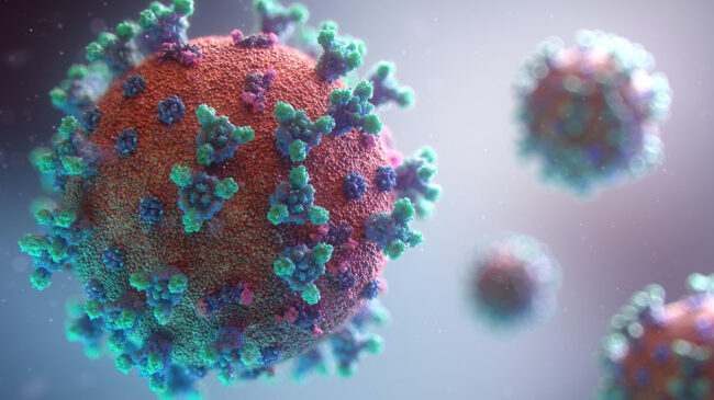 ¿Es el coronavirus un ser vivo?