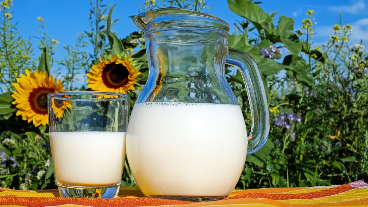 Una jarra y un vaso de leche. 