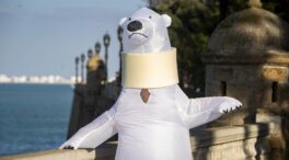 (VÍDEO) El "oso perjudicado" de la cabalgata de Cádiz reaparece: los gaditanos le ganan el pulso a 'Kichi'