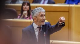 Marlaska considera «intachable» la reforma del PSOE a la 'ley del solo sí es sí'