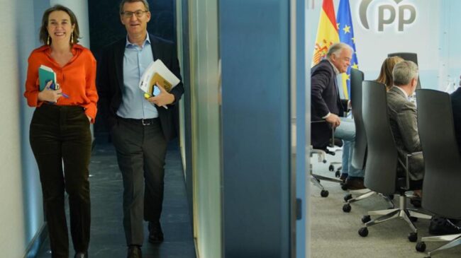 El fiasco del consejero del Banco de España abre la primera grieta en el equipo de Feijóo