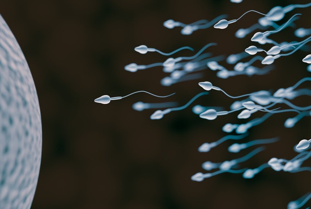 Ya está aquí el anticonceptivo masculino: paraliza la fertilidad durante un día