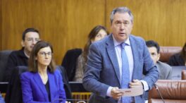 Espadas se desentiende del 'caso Mediador': «Son cuestiones muy alejadas de Andalucía»
