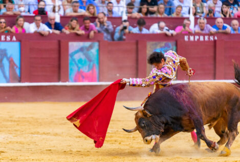 La Comunidad de Madrid torpedea sin querer el lanzamiento del nuevo 'Netflix de toros'