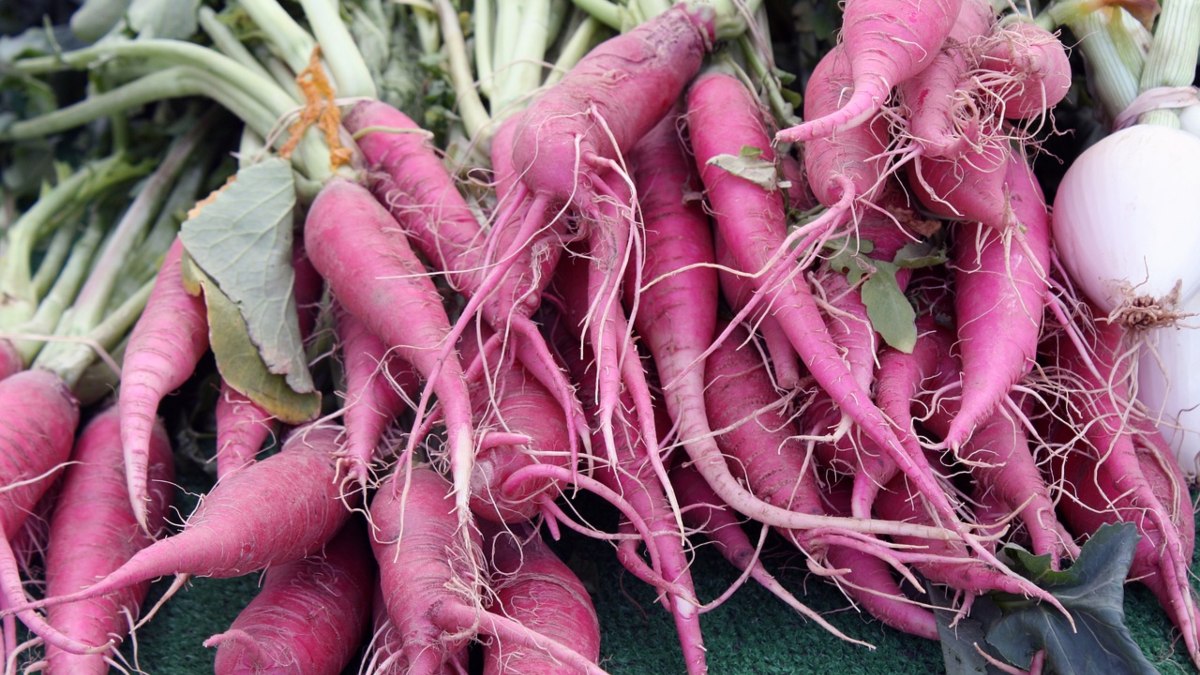 Daikon, el secreto japonés que previene el cáncer