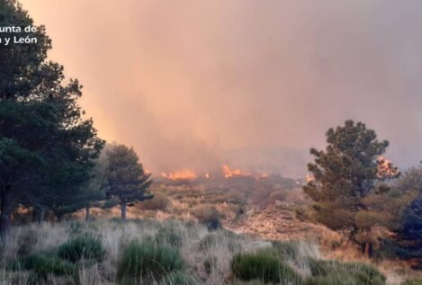 Enero de 2023, el primer mes del año con menos hectáreas quemadas del decenio