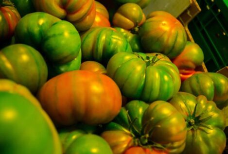 Los supermercados británicos racionan varias hortalizas ante la falta de envíos desde España