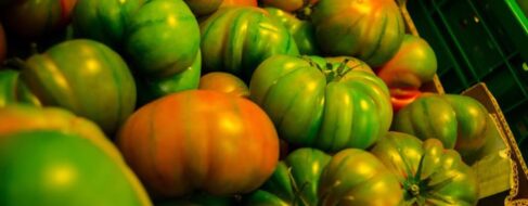 Los supermercados británicos racionan varias hortalizas ante la falta de envíos desde España