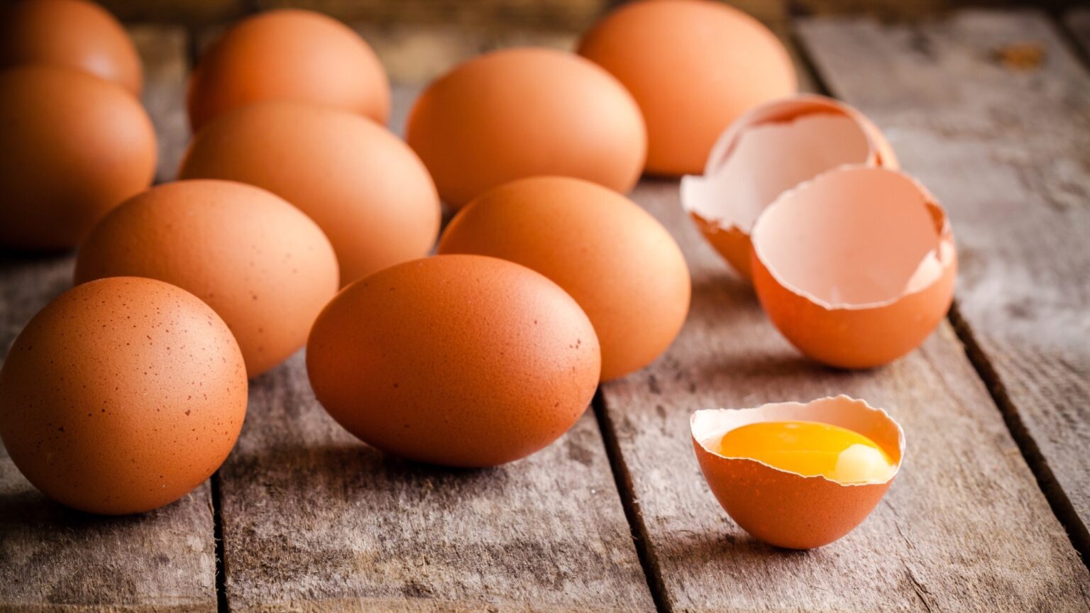 Se puede utilizar huevo fresco en hostelería?