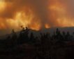 El Gobierno de Chile rebaja a 24 el balance de víctimas mortales por los incendios forestales
