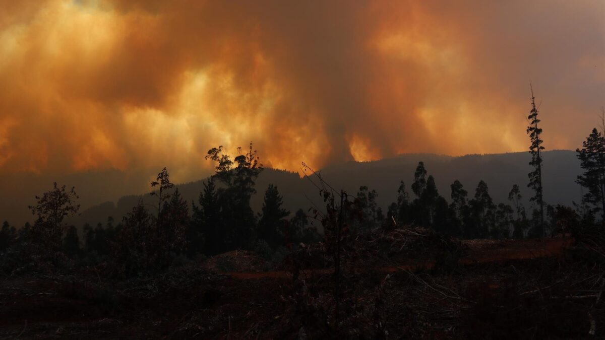 El Gobierno de Chile rebaja a 24 el balance de víctimas mortales por los incendios forestales