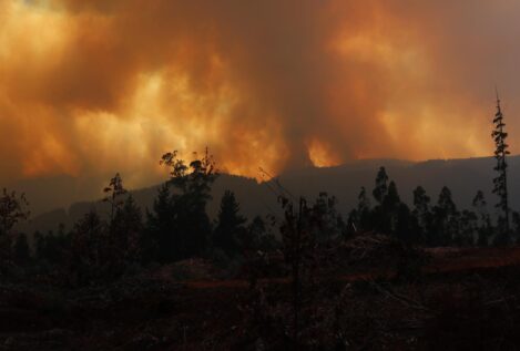 El Gobierno de Chile rebaja a 24 el balance de víctimas mortales por los incendios forestales