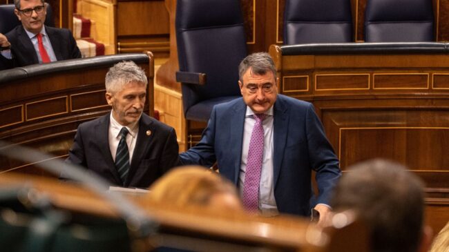 Los letrados del Congreso cuestionan la reforma de la 'ley mordaza': no es «clara»