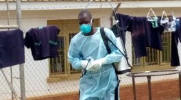 Marburgo, el virus similar al ébola que ha puesto en alerta a Guinea Ecuatorial