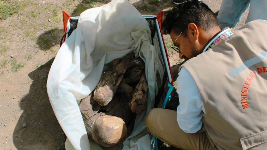 La momia de Perú localizada en la bolsa de reparto.