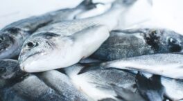 La OCU ensalza a este desconocido supermercado: vende el mejor pescado de España