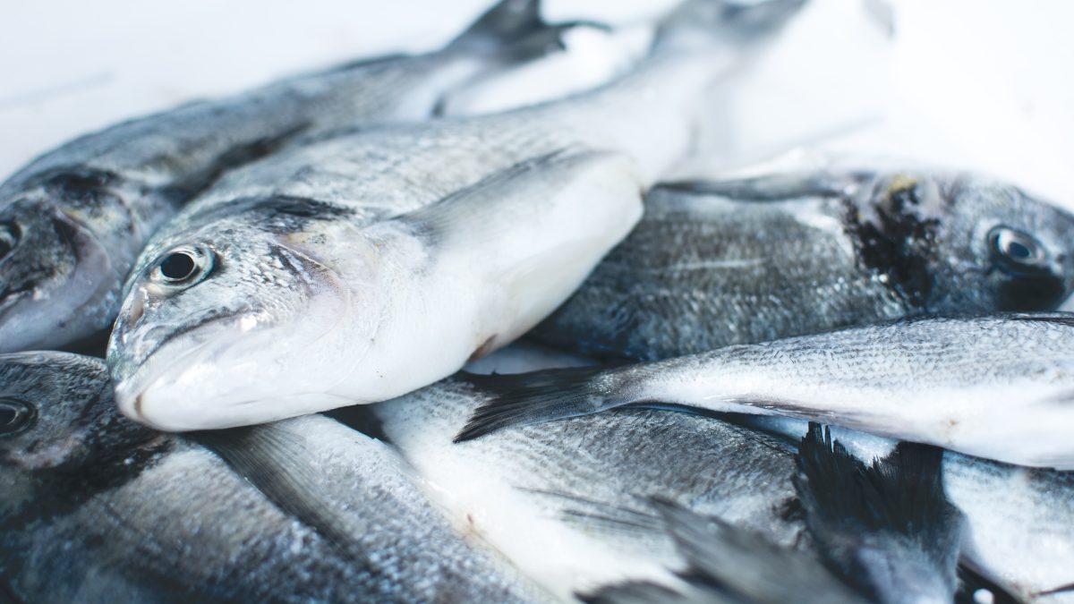 La OCU ensalza a este desconocido supermercado: vende el mejor pescado de España
