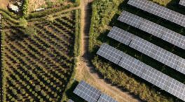 El parque solar Magda en Castellón ocupará un 40% menos de la superficie proyectada al inicio