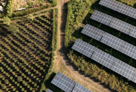 El parque solar Magda en Castellón ocupará un 40% menos de la superficie proyectada al inicio