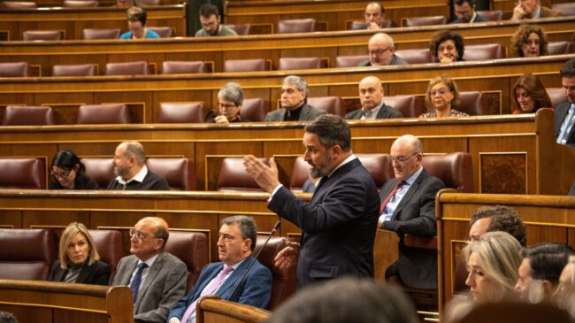 Abascal pide «paciencia» con Tamames y enfría la moción de censura contra Sánchez