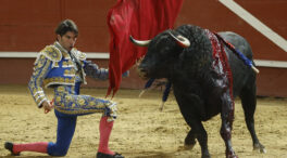 El Supremo anula la exclusión de los toros del catálogo del Bono Cultural Joven