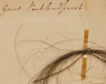 El ADN del pelo de Beethoven arroja luz sobre su muerte y desvela un secreto familiar