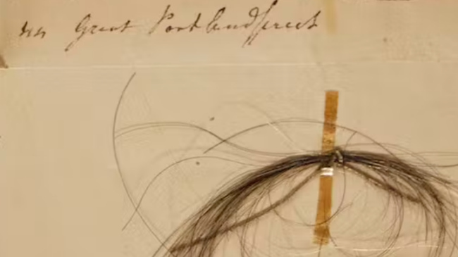 El ADN del pelo de Beethoven arroja luz sobre su muerte y desvela un secreto familiar
