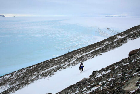 El hielo marino en la Antártida alcanzó el mínimo histórico en febrero