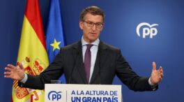 El PP, dispuesto a regular la gestación subrogada en España