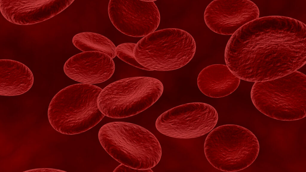 Glóbulos rojos, compuestos por hemoglobina 